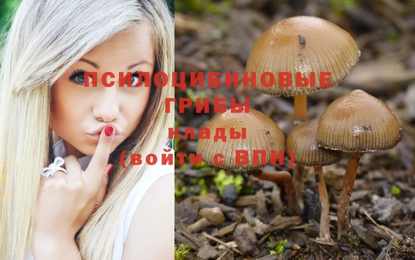 ешки Армянск